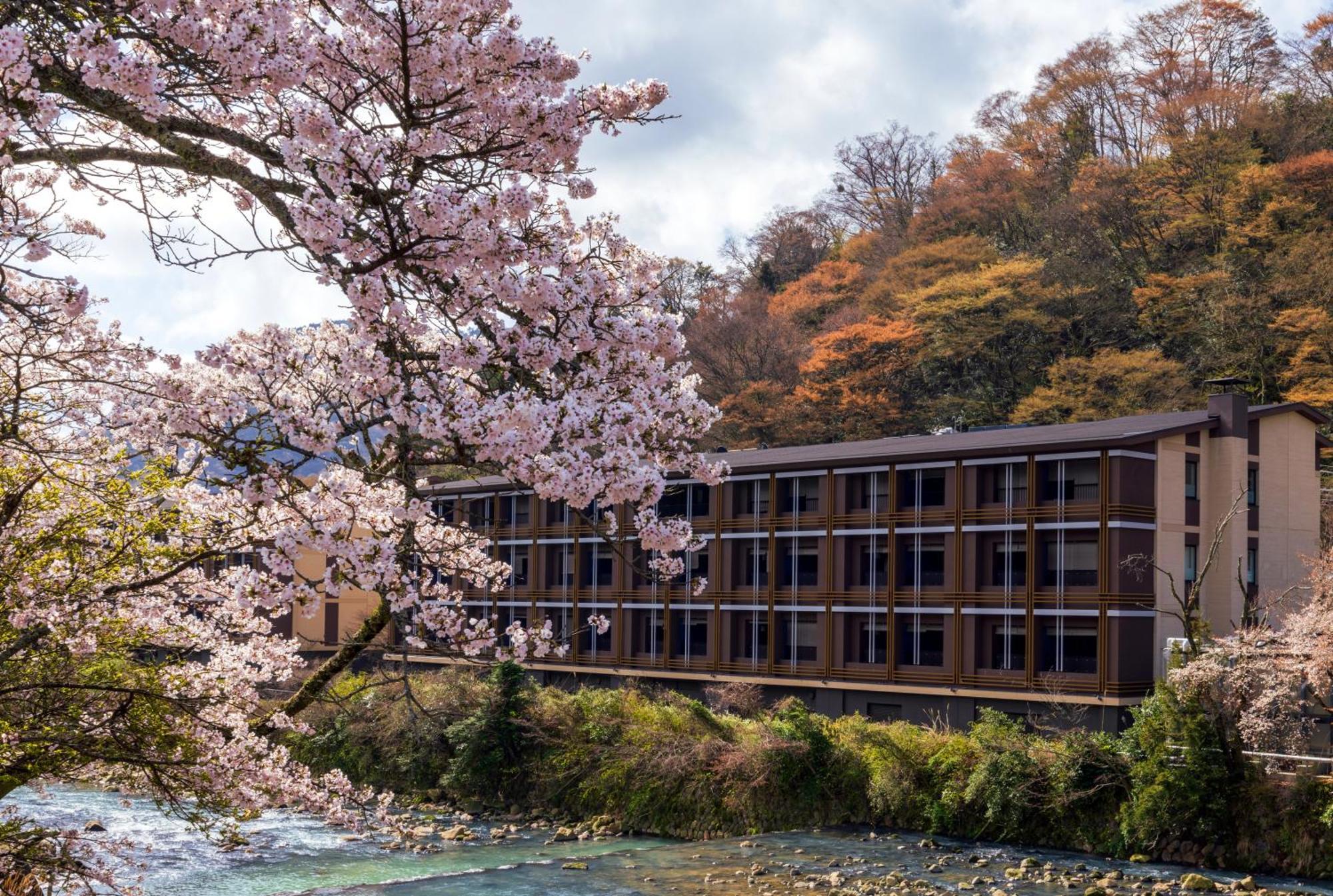 Hotel Indigo Hakone Gora, An Ihg Hotel Екстер'єр фото